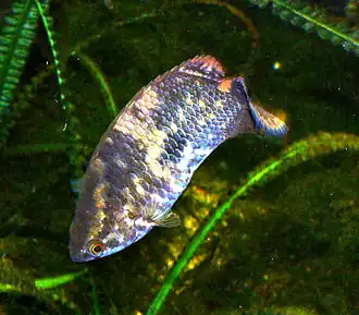 alternativní popis obrázku chybí