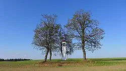 Ctidružice boží muka 1.JPG