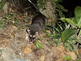 alternativní popis obrázku chybí