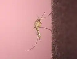 alternativní popis obrázku chybí