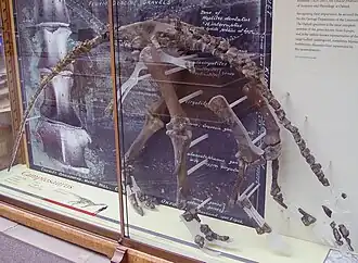 alternativní popis obrázku chybí