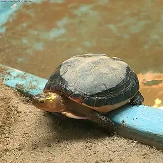 alternativní popis obrázku chybí