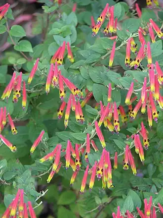 alternativní popis obrázku chybí