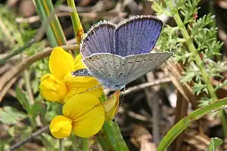 alternativní popis obrázku chybí