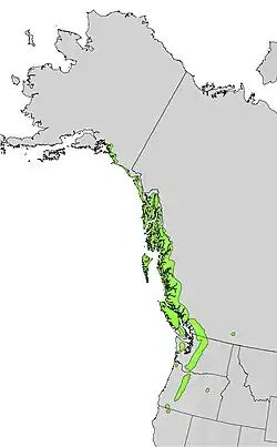 Areál rozšíření