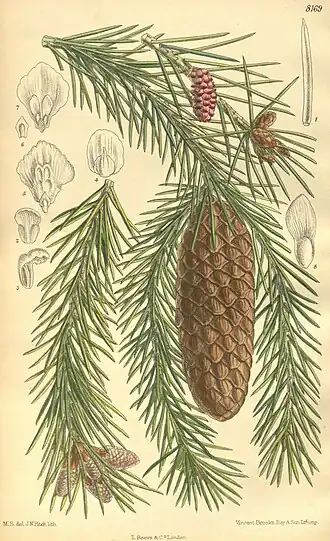 alternativní popis obrázku chybí