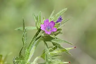 alternativní popis obrázku chybí