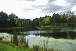 Horseshoe Pond, Cuyahoga Valley