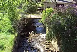 Boberský potok ve Cvikově