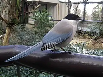 alternativní popis obrázku chybí