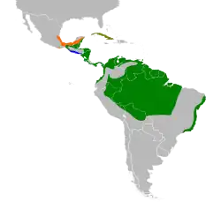 Areál rozšíření