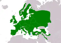 Rozšíření sýkory modřinky