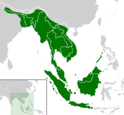 Rozšíření rodu Cyclemys – jihovýchodní Asie