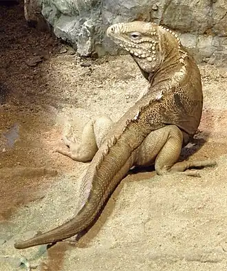 alternativní popis obrázku chybí