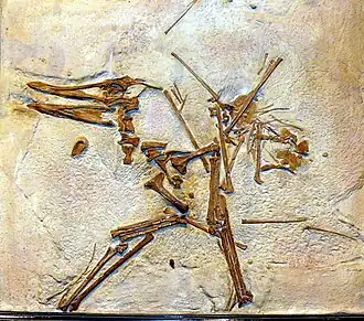 alternativní popis obrázku chybí