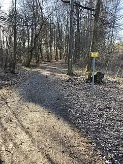 Cyklostezka v lese u Ostrovce