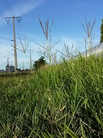 alternativní popis obrázku chybí