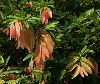 alternativní popis obrázku chybí