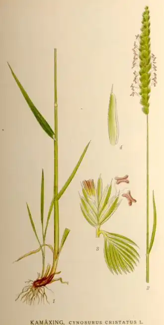 alternativní popis obrázku chybí