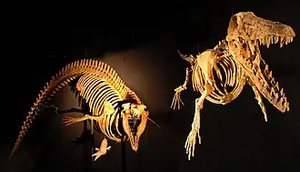 alternativní popis obrázku chybí