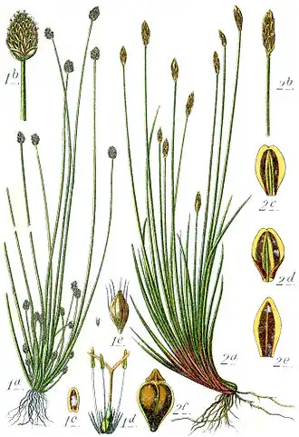 alternativní popis obrázku chybí