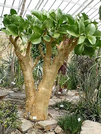 alternativní popis obrázku chybí