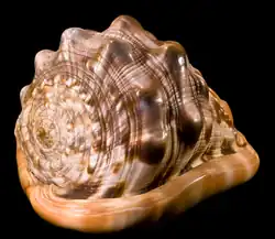 alternativní popis obrázku chybí