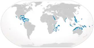Rozšíření žraloka bělocípého je vyznačeno modře