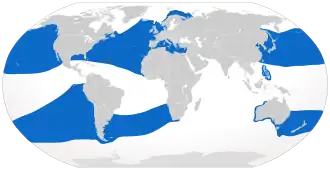 Rozšíření (modrá)