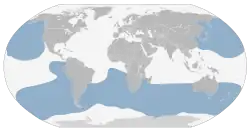 Areál výskytu (modře)