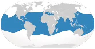 Rozšíření (modrá)