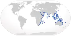 Areál rozšíření