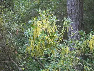 alternativní popis obrázku chybí