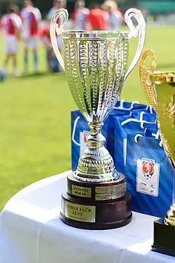 Vítězná trofej
