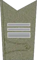 Podplukovník - Armáda ČSR - 1919-1920