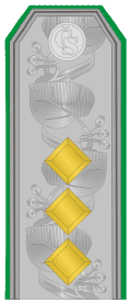 Podplukovník - Čs. Armáda - 1925-1929 (Ceremoniální uniforma), [hodnostní označení na každodenní uniformě zůstává stejné jako u 1921-1924]
