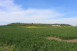 Pohled na jižní svah Dřínova