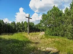 Dřevěný kříž v Košťanech na kopci Pramenáč