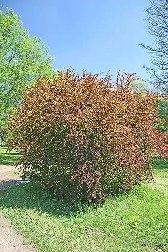 alternativní popis obrázku chybí