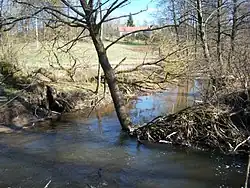 Dūmė u vsi Paprūdžiai