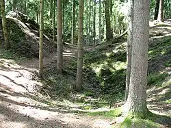 Pozůstatky starých dobývek v oblasti někdejšího Zlatodolu Roudný v okrese Benešov