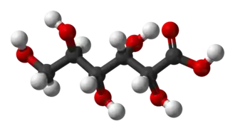 Model molekuly kyseliny D-glukonové