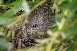 alternativní popis obrázku chybí