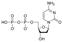 Struktura deoxycytidindifosfátu