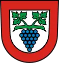 Büsingen am Hochrhein – znak