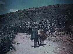 Rolník a osel jdou po cestě v oblasti La Hojilla v Cantorii, 1909