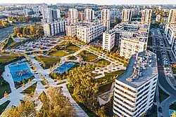 Izydora Stella-Sawického