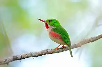 alternativní popis obrázku chybí