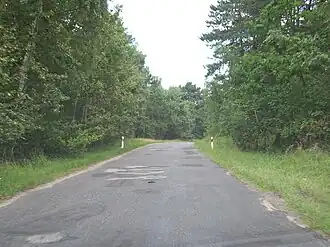 Úsek Krynica Morska-Piaski