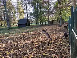 Daňčí obora v parku Boženy Němcové